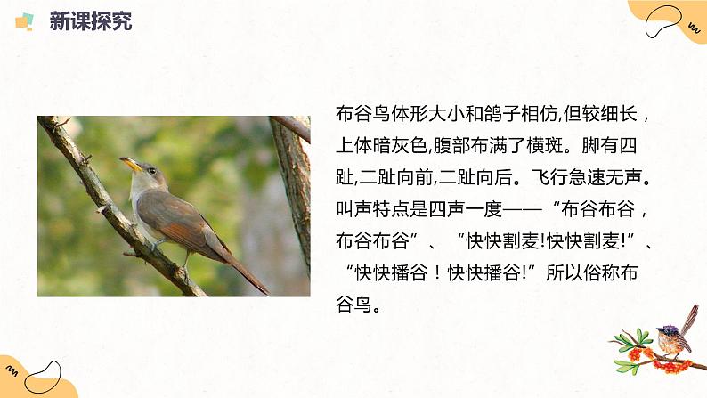 人音版（2012）音乐一下1.3  布谷 课件+教学设计+素材06