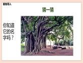 人音版六年級下冊第五課第三課時《榕樹爺爺》課件+教案+音視頻素材