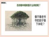 人音版六年級下冊第五課第三課時《榕樹爺爺》課件+教案+音視頻素材