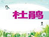 苏少版音乐三下 第四单元 杜鹃 芦笛 课件