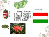 苏少版四下音乐《五月的夜晚》课件