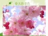 苏少版四下音乐《四季歌》课件