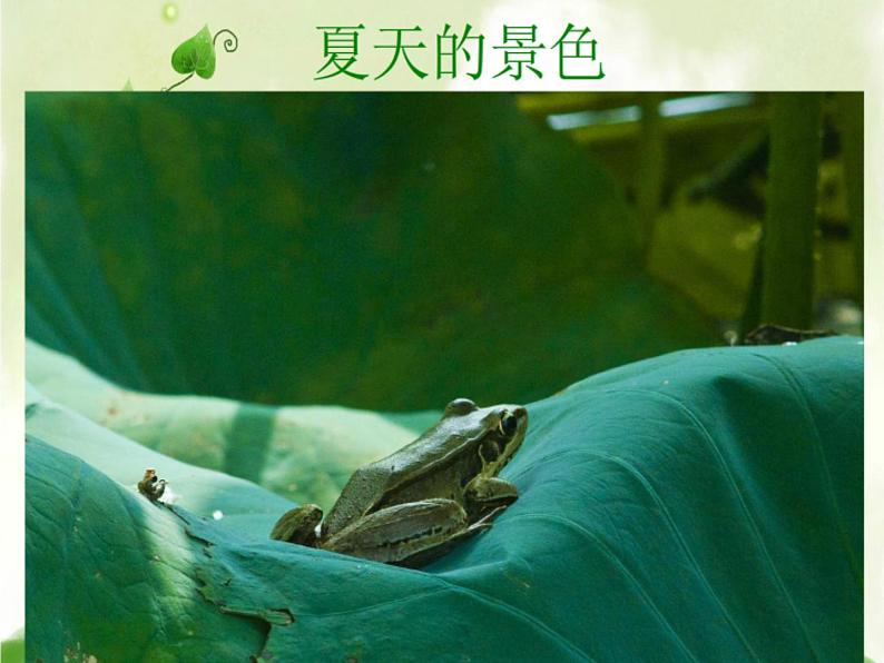 苏少版四下音乐《四季歌》课件04