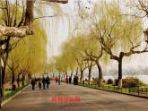 苏少版四下音乐《村居》课件