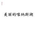 苏少版音乐五下《美丽的喀纳斯湖》 课件