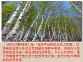 苏少版音乐五下《银色的桦树林》 课件