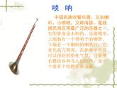苏少版音乐五下《百鸟朝凤》课件
