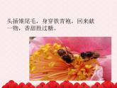 苏少版一下音乐 《爱唱什么歌》 课件（无教案）