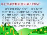 苏少版一下音乐 第八单元青蛙合唱队 课件（无教案）
