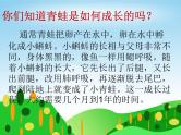 苏少版一下音乐 第八单元青蛙合唱队 课件（无教案）