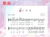 苏少版音乐三下 第二单元 小伞花 共同拥有一个家 课件
