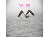 二年级下册音乐课件-1 听一听 飞吧，海鸥 沪教版