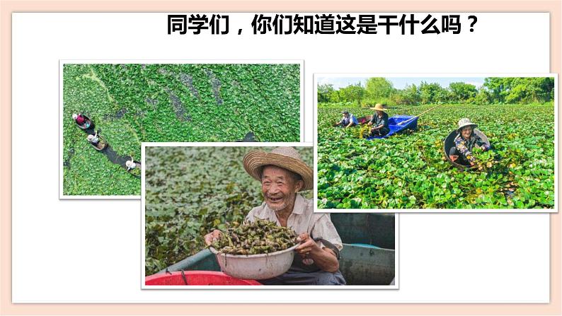 人音版四下册第三单元第三课时《采菱》课件+教案+音视频素材04