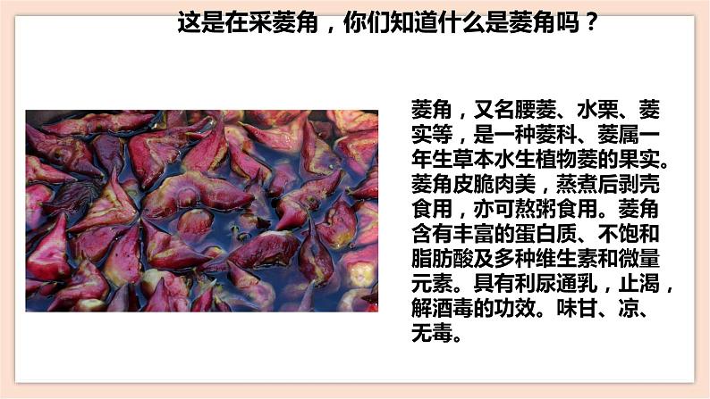 人音版四下册第三单元第三课时《采菱》课件+教案+音视频素材05