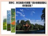 人音版四下冊第四單元第二課時《白樺林好地方》課件+教案+音視頻素材
