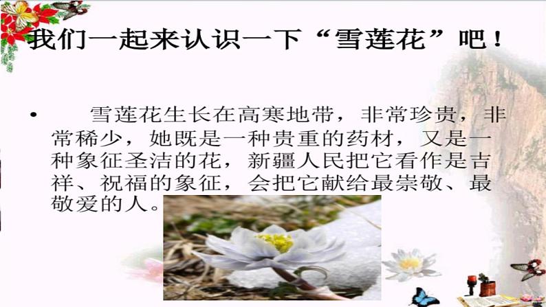 《我爱雪莲花》课件03