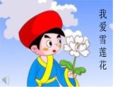 《我愛雪蓮花》課件