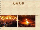 《喜鹊钻篱笆》课件