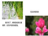 第一课春天来了《春风》 课件教案