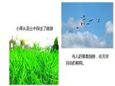 第一课春天来了《春风》 课件教案