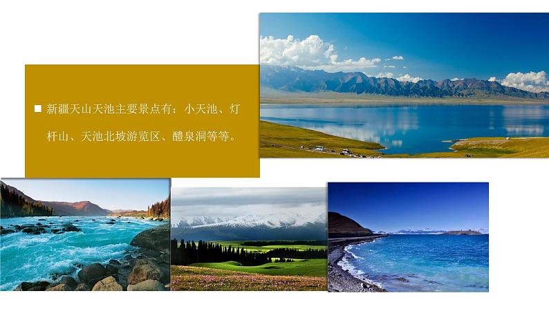 花城版五年级（上册）青春舞曲 课件+素材04