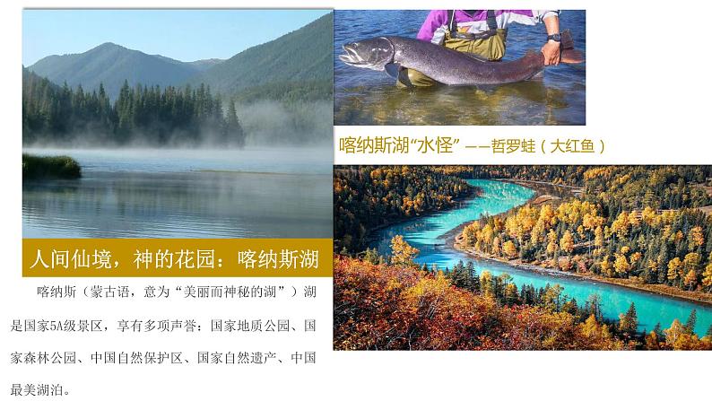 花城版五年级（上册）青春舞曲 课件+素材05