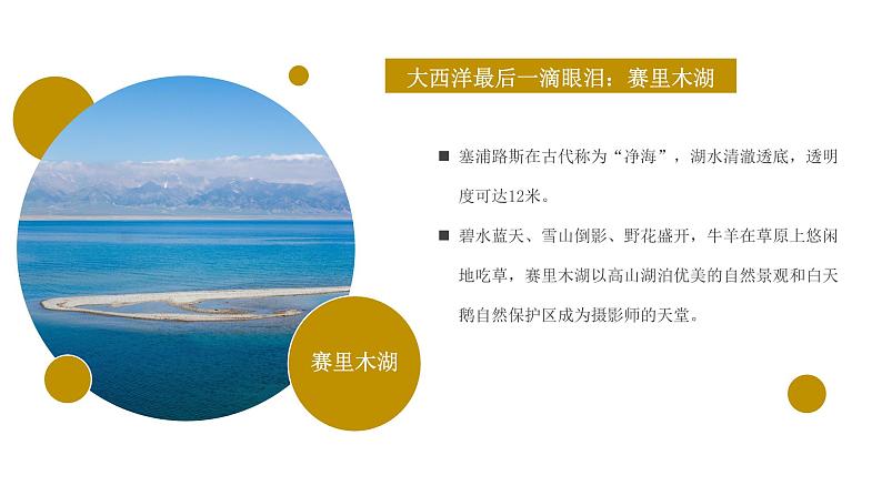 花城版五年级（上册）青春舞曲 课件+素材06