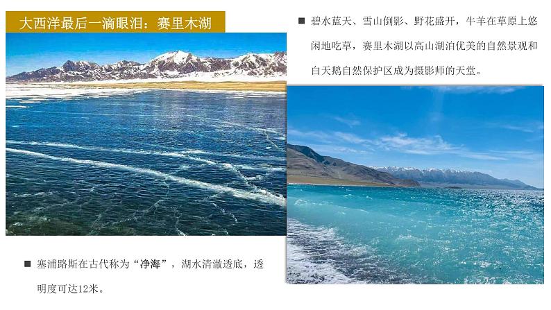 花城版五年级（上册）青春舞曲 课件+素材07