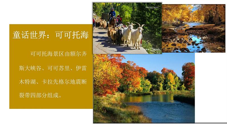 花城版五年级（上册）青春舞曲 课件+素材08