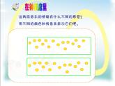 苏少版音乐二年级下册 3.1在钟表店里 课件
