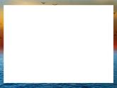 感知音的高低——海鸟的家园课件PPT