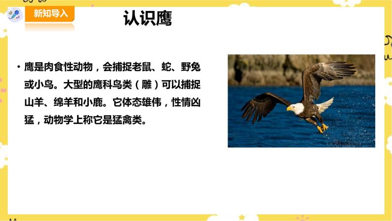 人音版五年级上册第6课 快乐的少年雏鹰之歌完美版课件ppt-教习网|课件下载