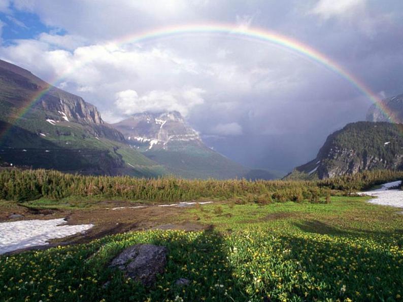 人音版五年级音乐下册第3课 飞翔的梦 聆听 飞跃彩虹课件+教案+素材资源05