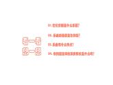 人教版五年級下冊音樂課件（錦雞出山）
