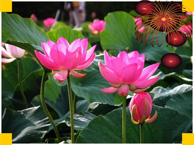 人音版二下第2课 难忘的歌 （包含课件、教案、素材）02