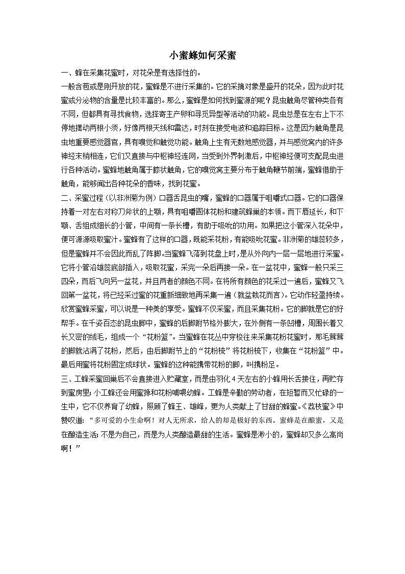 小蜜蜂如何采蜜(1)第1页