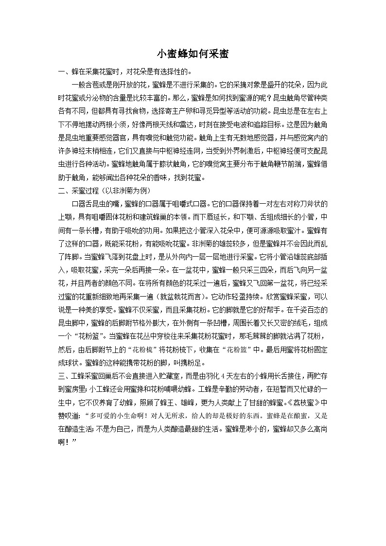 小蜜蜂如何采蜜第1页