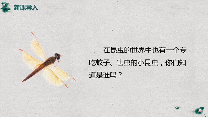 【核心素养目标】人教版（2012）音乐一年级上4.5 小蜻蜓 课件+教学设计+素材05