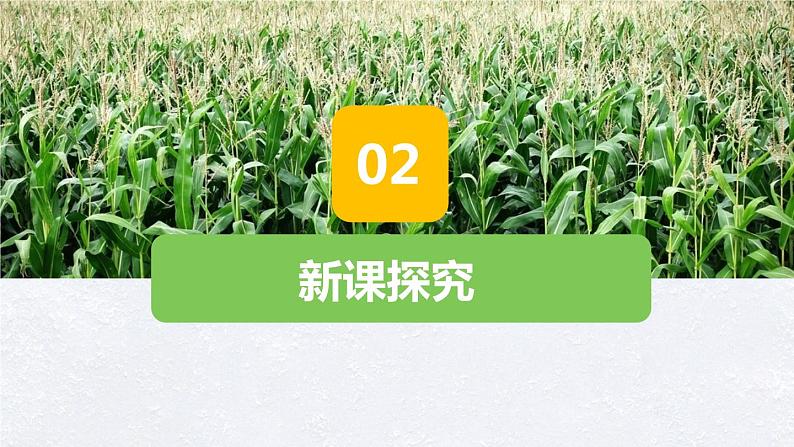 【核心素养目标】人教版（2012）音乐二年级上3.4 种玉米 课件+教学设计+素材06