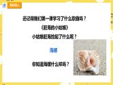 【人教版】四上音乐  第一单元第三课时《小螺号》课件+教案+音视频素材