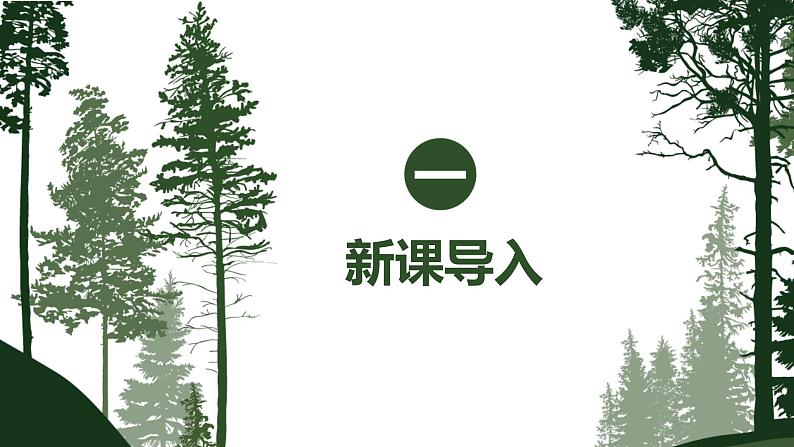 【核心素养目标】人教版（2012）音乐五年级上 2.3 森林狂想曲 课件第4页