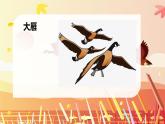 花城版小学音乐一年级上第五课《雁群飞》课件PPT