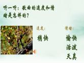【核心素养目标】花城版音乐二年级上《酸枣刺》课件+教案+音频（含教学反思）