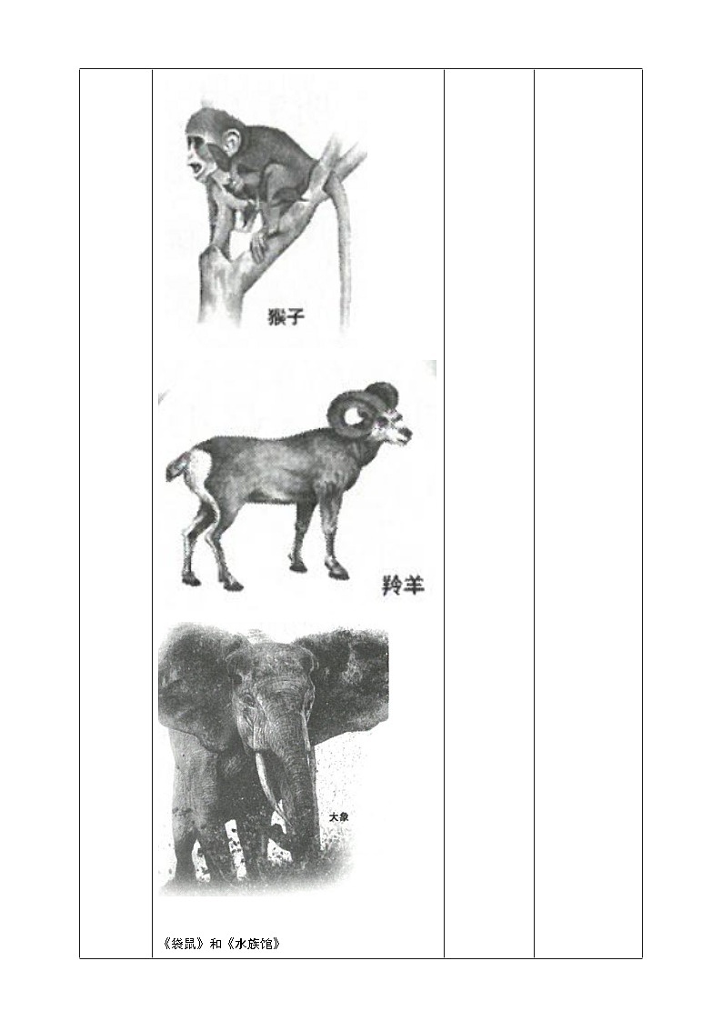 花城版音乐四年级上册 第8课《公鸡和母鸡》《大象》+《袋鼠》+《水族馆》课件+教案+素材02