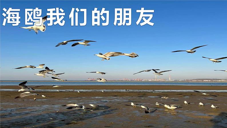 花城版小学音乐六年级上第五课《音乐的旋律与副旋律》课件PPT03