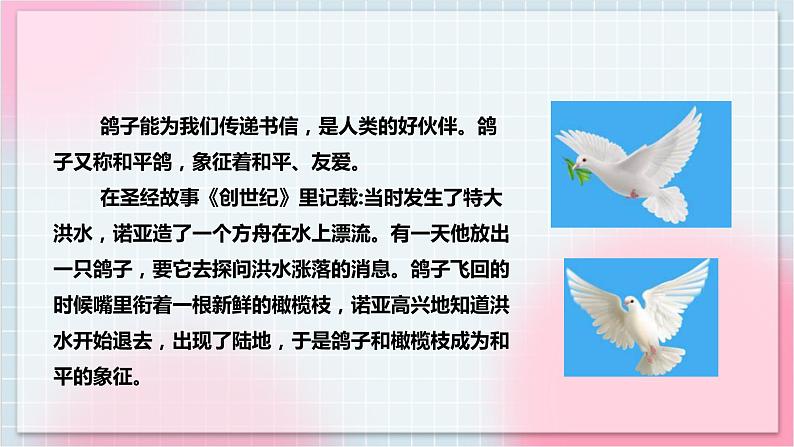 【核心素养】人教版音乐三年级上册6.1唱歌《白鸽》课件+教案+素材04