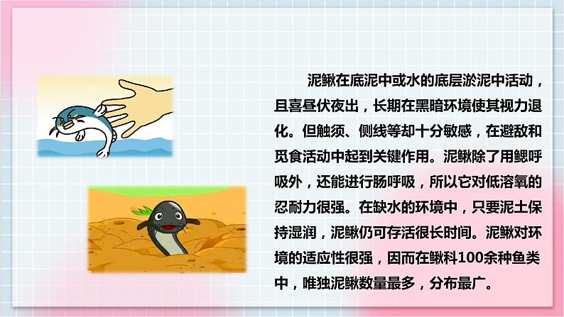 【核心素养】人教版音乐三年级上册6.5唱歌《捉泥鳅》课件+教案+素材05