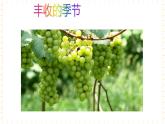 冀少版音乐四年级上册 第6单元《天山脚下》课件