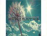 五年级上册音乐课件-第4单元+心灵绿地+冀少版