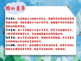 【核心素养目标】花城版音乐三年级上《小斑鸠对我说》课件+教案+音频（含教学反思）